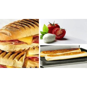 Panini Basilic