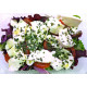 Salade Tomate Mozzarella